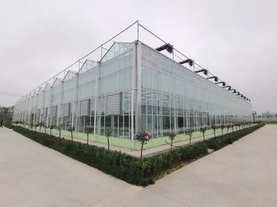 豐縣智慧農業(yè)新篇章 空中瓜果背后的高科技大棚設計