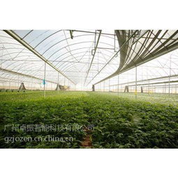 智慧農業之選 卓振智能，大棚種植的領先解決方案