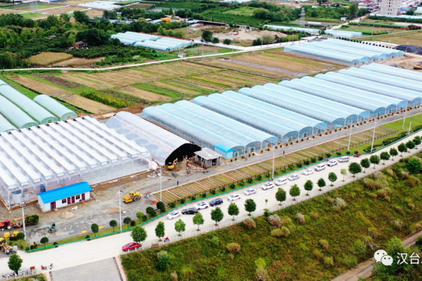 漢中市2023年三季度重點項目觀摩走進漢臺 農(nóng)業(yè)溫室項目引領(lǐng)鄉(xiāng)村振興新篇章